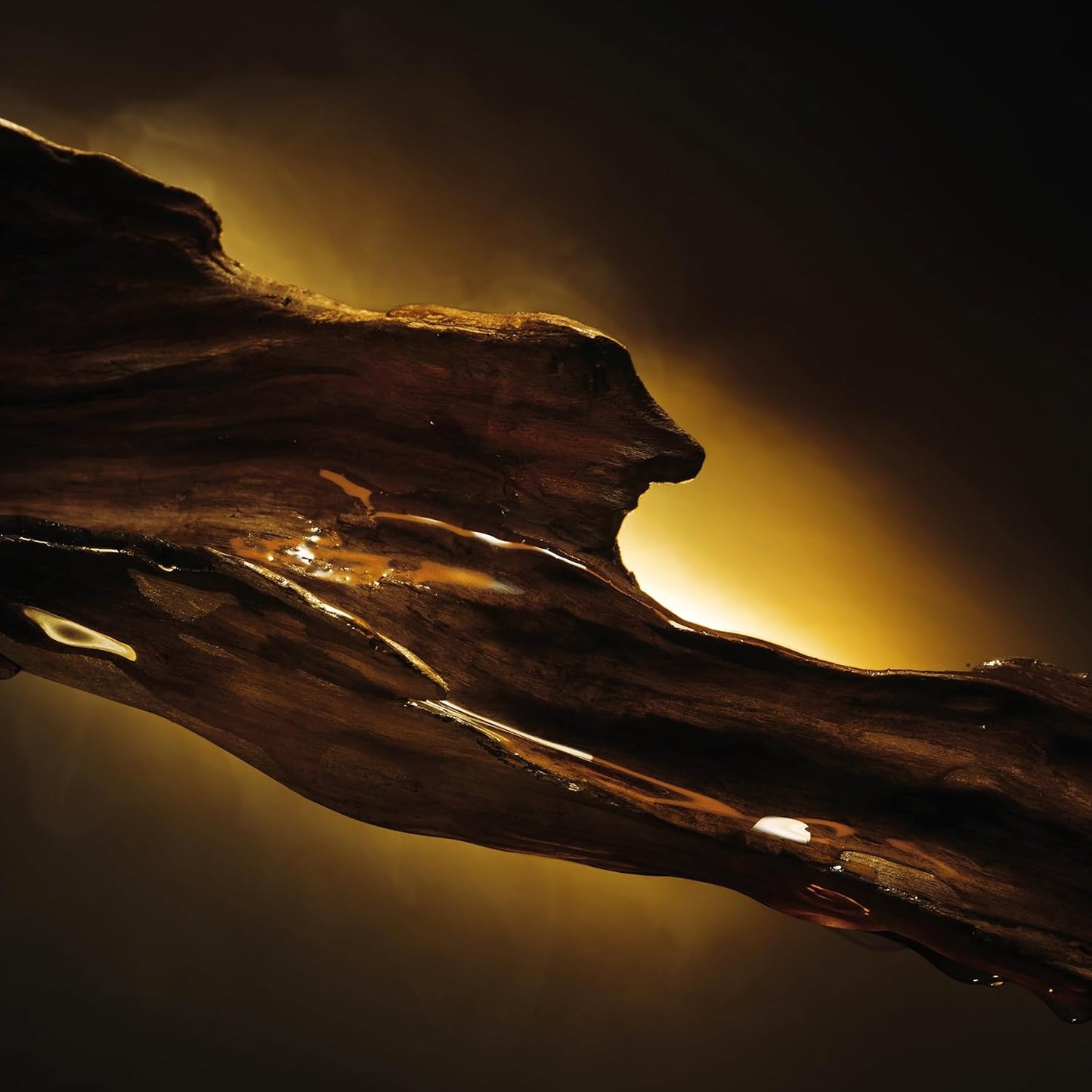 Boss Bottled Elixir - Eau de Parfum