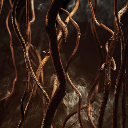 Boss Bottled Elixir - Eau de Parfum